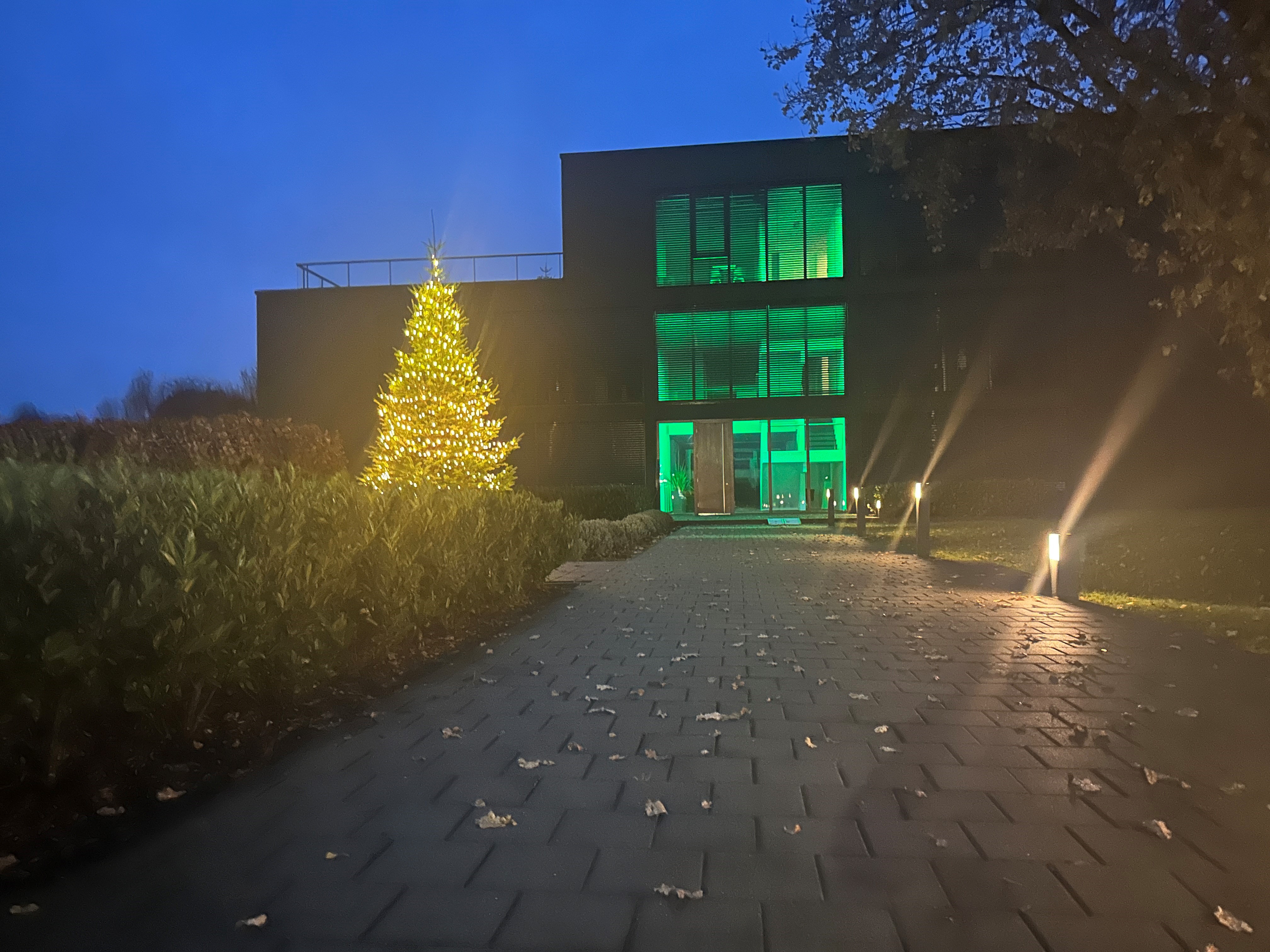 weihnachtsbaum